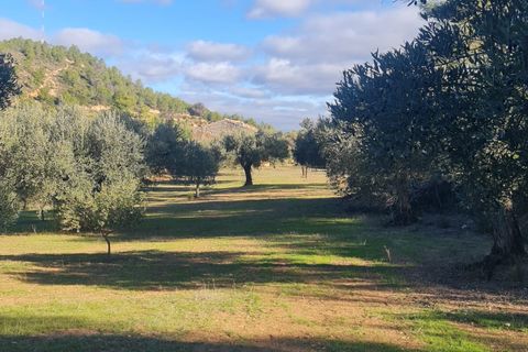 Landejendom i Asco, Tarragona, Asco - € 29.000 | Ref: 1003 Pasco - foto 25